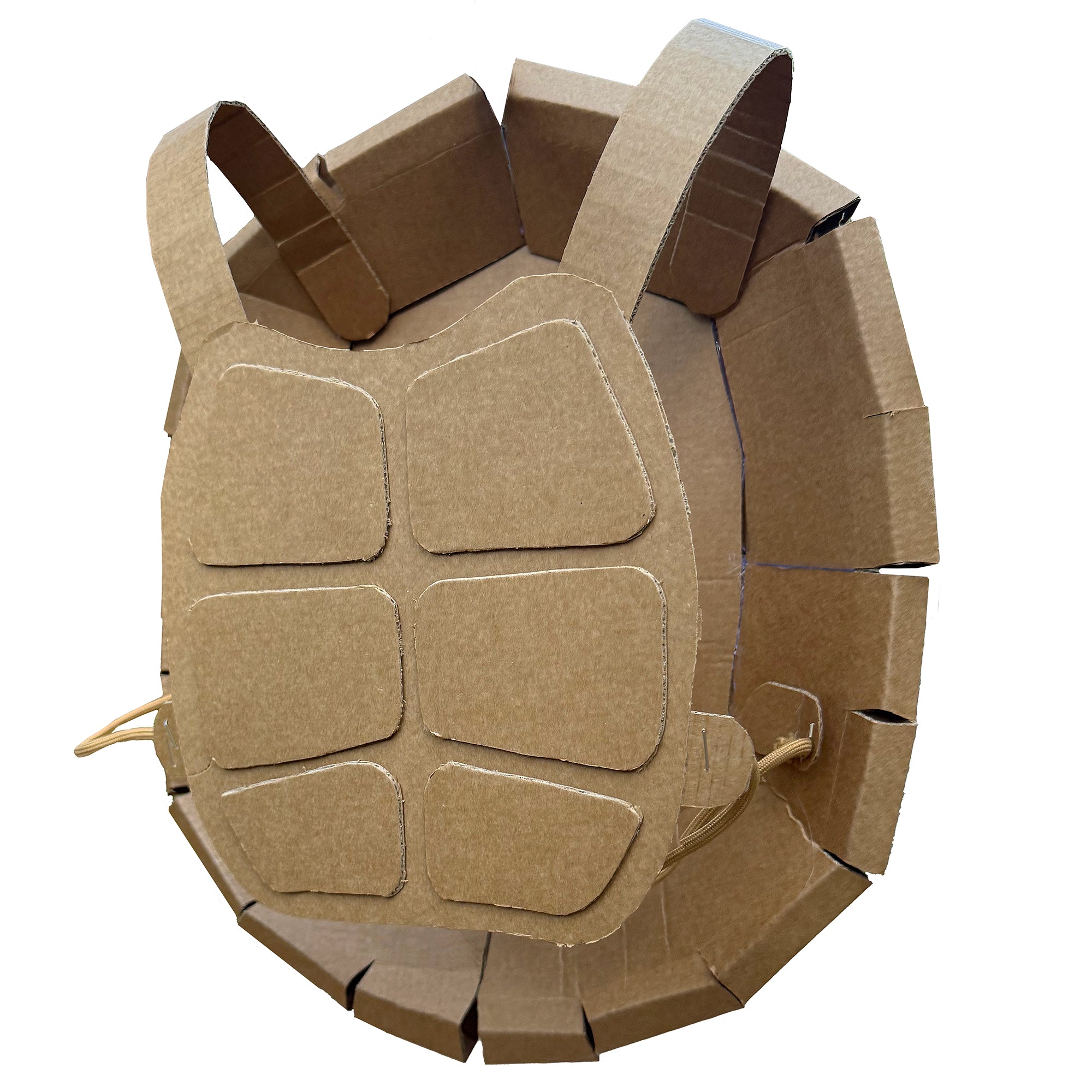 Turtle Shell Costume made from cardboard with white background